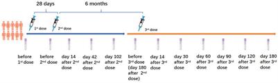 A tale of two conditions: when people living with HIV meet three doses of inactivated COVID-19 vaccines